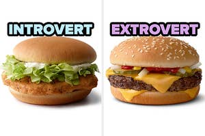 On the left, a McChicken labeled introvert, and on the right, a Quarter Pounder labeled extrovert