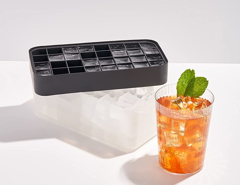 W&P 8 oz Cube Freezer Tray in Blue at Urban Outfitters in 2023