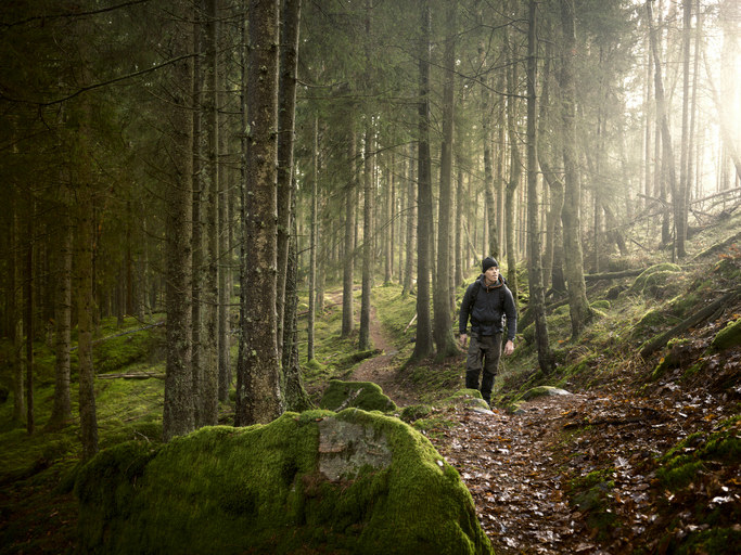 A man hiking alone in the forest