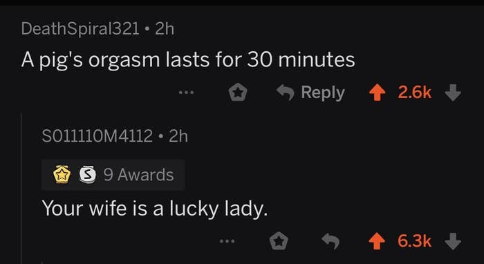 person saying a pig&#x27;s orgasm lasts 30 min and someone responds your wife is a lucky lady
