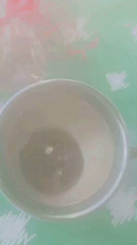Gif showing the chocolate bomb dissolving to reveal marshmallows in a cup