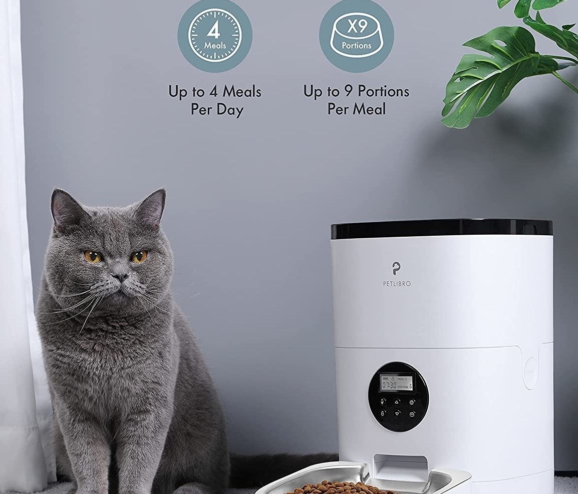 the automatic feeder