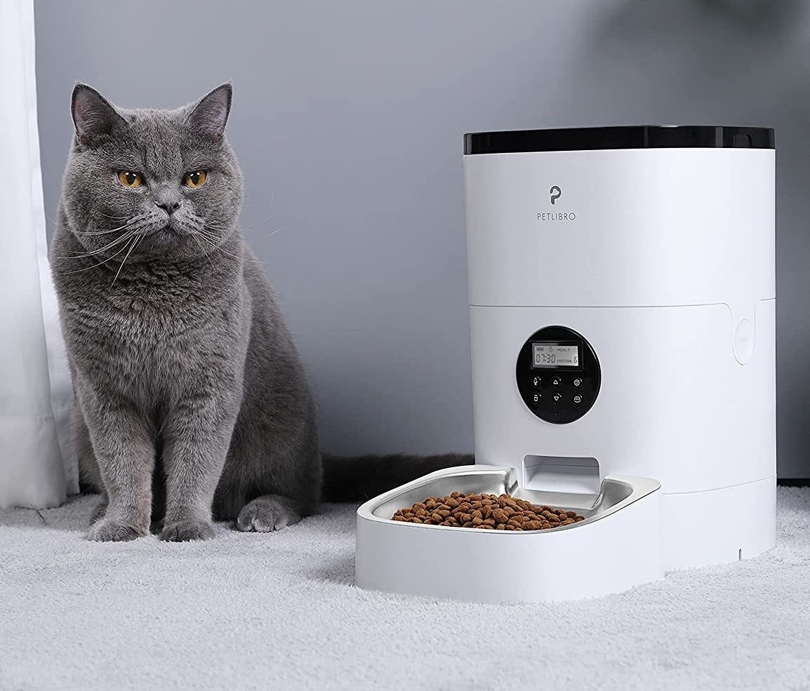 the automatic feeder