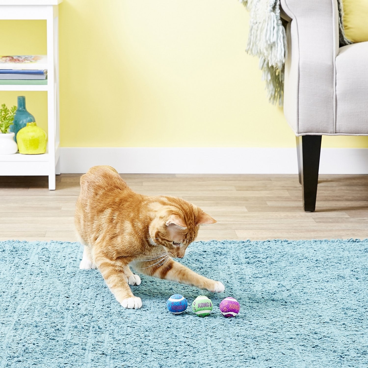 Dog proof clearance cat toys