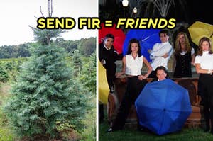 On the left, a fir tree, and on the right, the Friends cast labeled send fir equals Friends