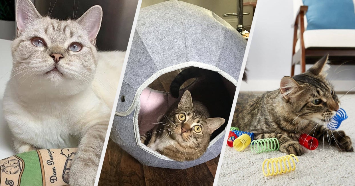 21 Best Cat Toys For Indoor Cats To Have Tons Of Fun