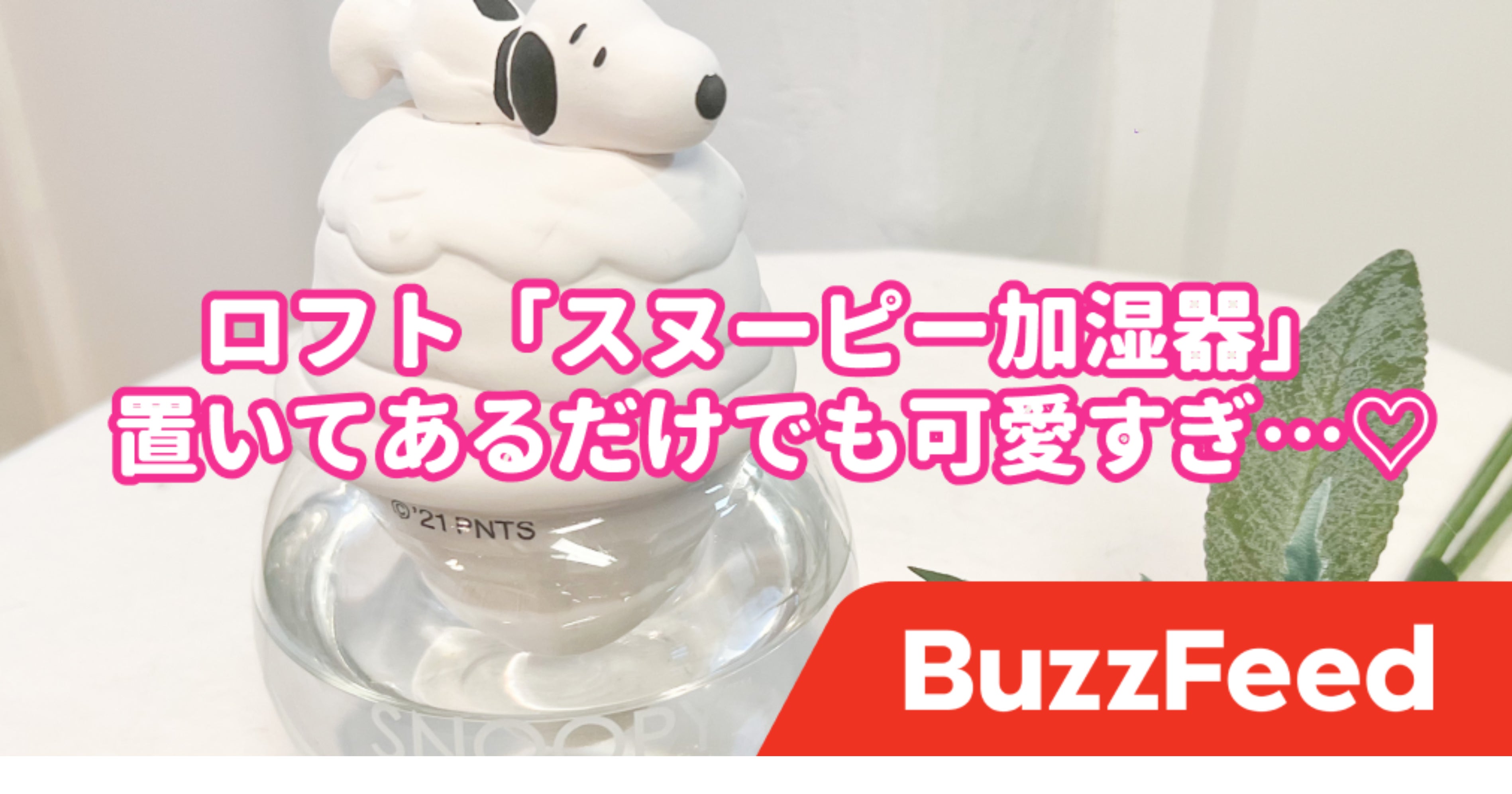 可愛すぎて即買いしちゃった ロフトで見つけた スヌーピーグッズ に癒されまくりです