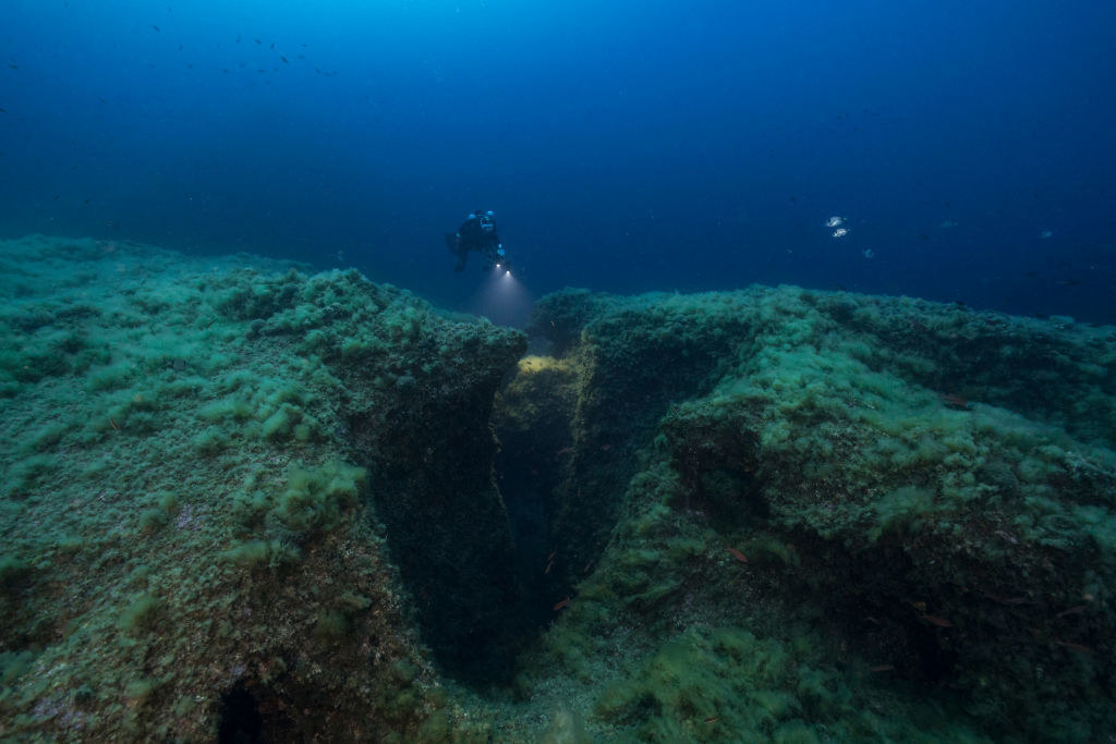 A scuba diver exploring the seabed