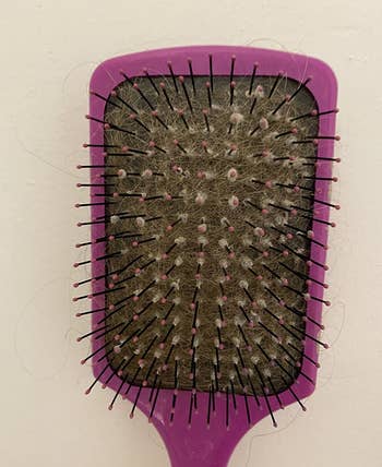 a hairbrush full of hair, dust, and gunk