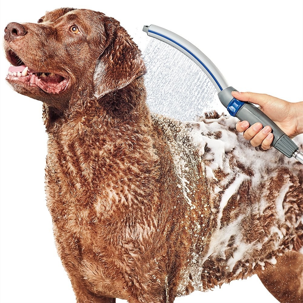 A brown lab being thoroughly cleaned using the shower attachment
