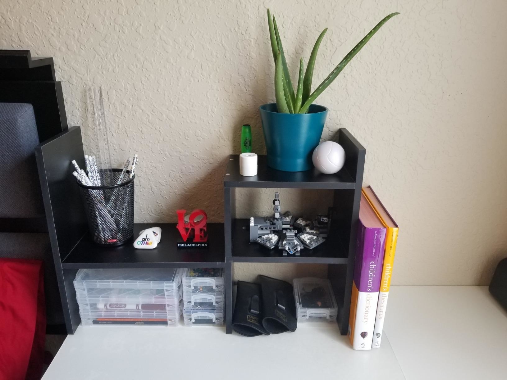 the black desk organizer with books, plants and pens organized in the different compartments
