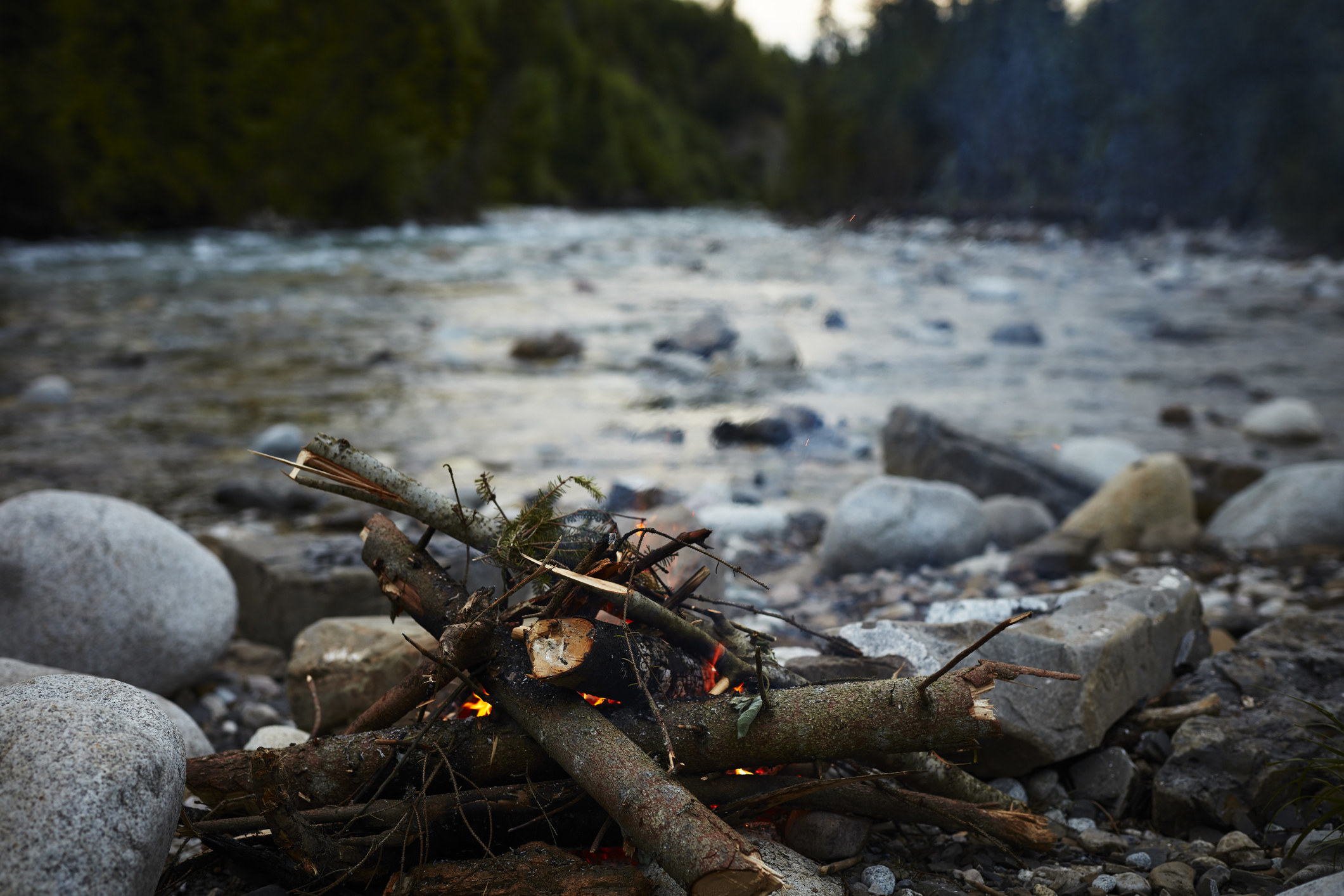 A fire pit in the wilderness