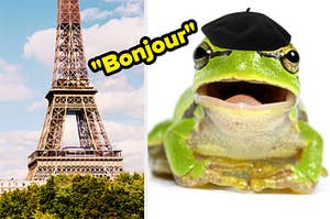 the eiffel tower on the left and a frog in a beret on the right