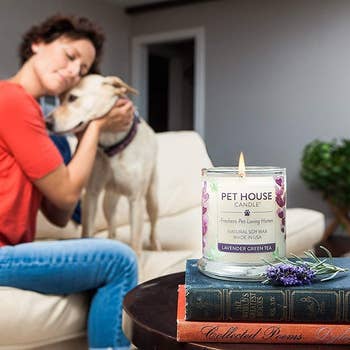 pet house candle in front of an owner and their dog