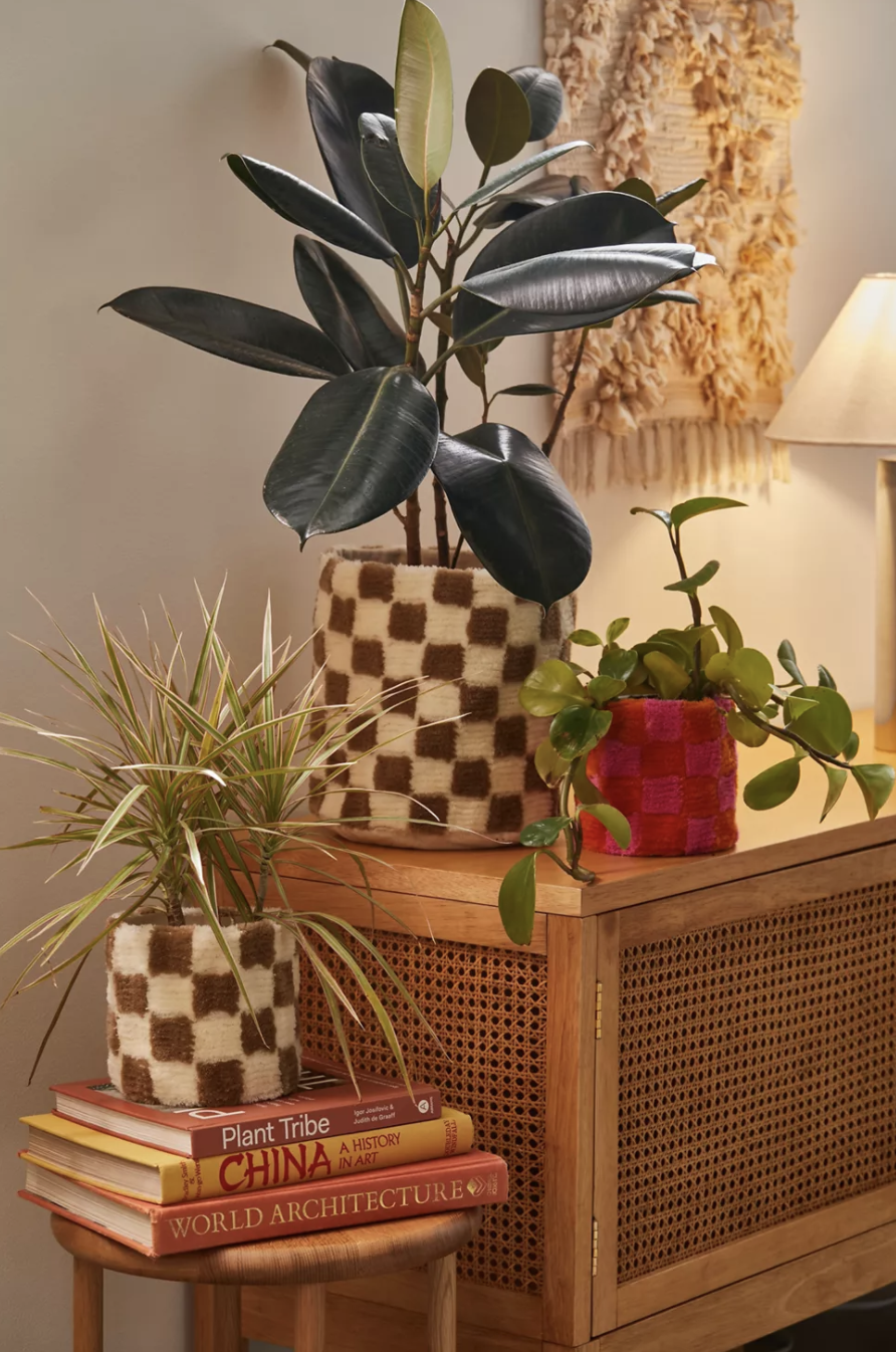 One large Rubber plant with a larger white and brown plant cover sitting beside a smaller plant with the pink and orange cover. Below those is a small Spider plant in a small white and brown cover sitting on top of 3 books