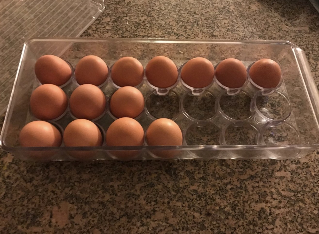 reviewer photo showing eggs in the storage container