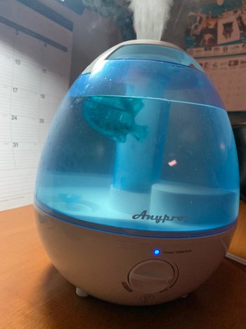 the fish swimming around a humidifier