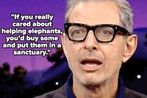 “如果你真的关心帮助大象，你应该买一些，把它们放在保护区”，配上杰夫·高布伦(Jeff Goldblum)震惊的照片