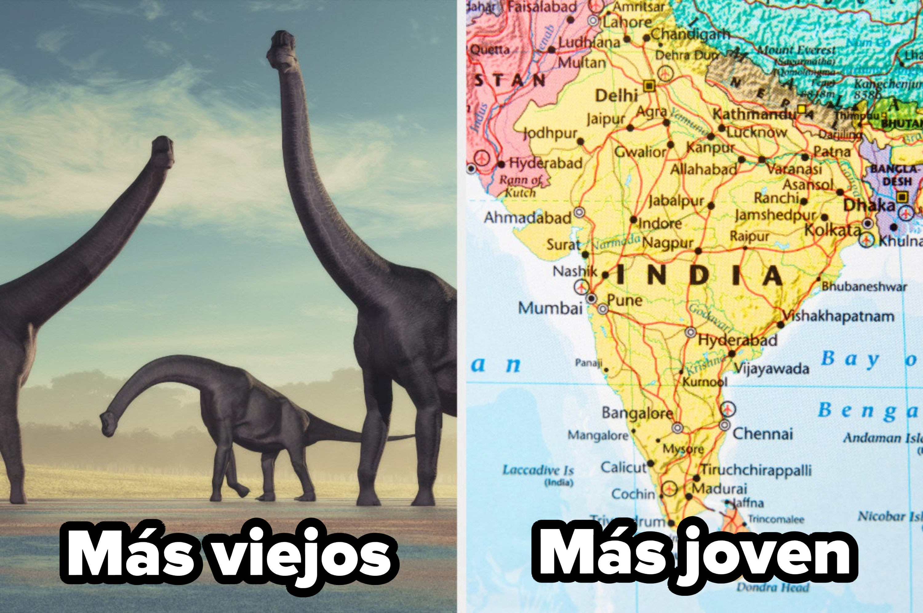 A family of brachiosaurus and a map of India