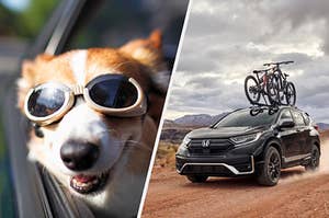 Split frame of a dog with goggles in a car and a Honda CR-V on a dirt road.