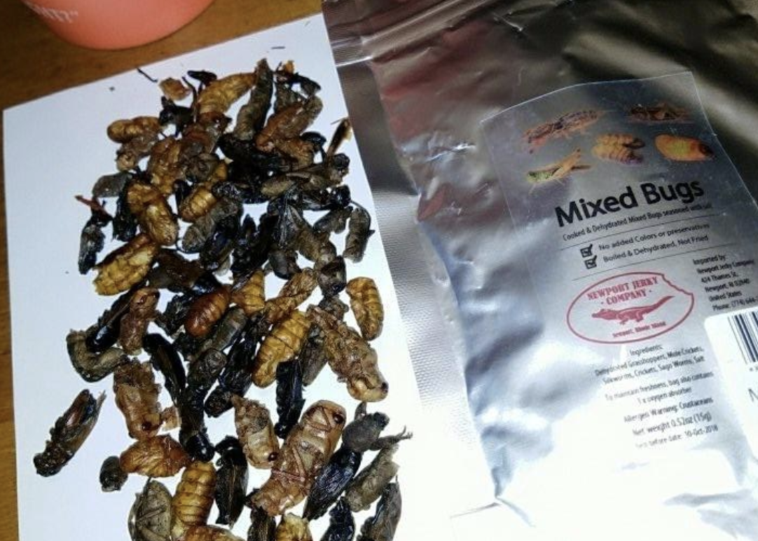 A customer review photo of the bag and all the bugs inside it laid out on a plate