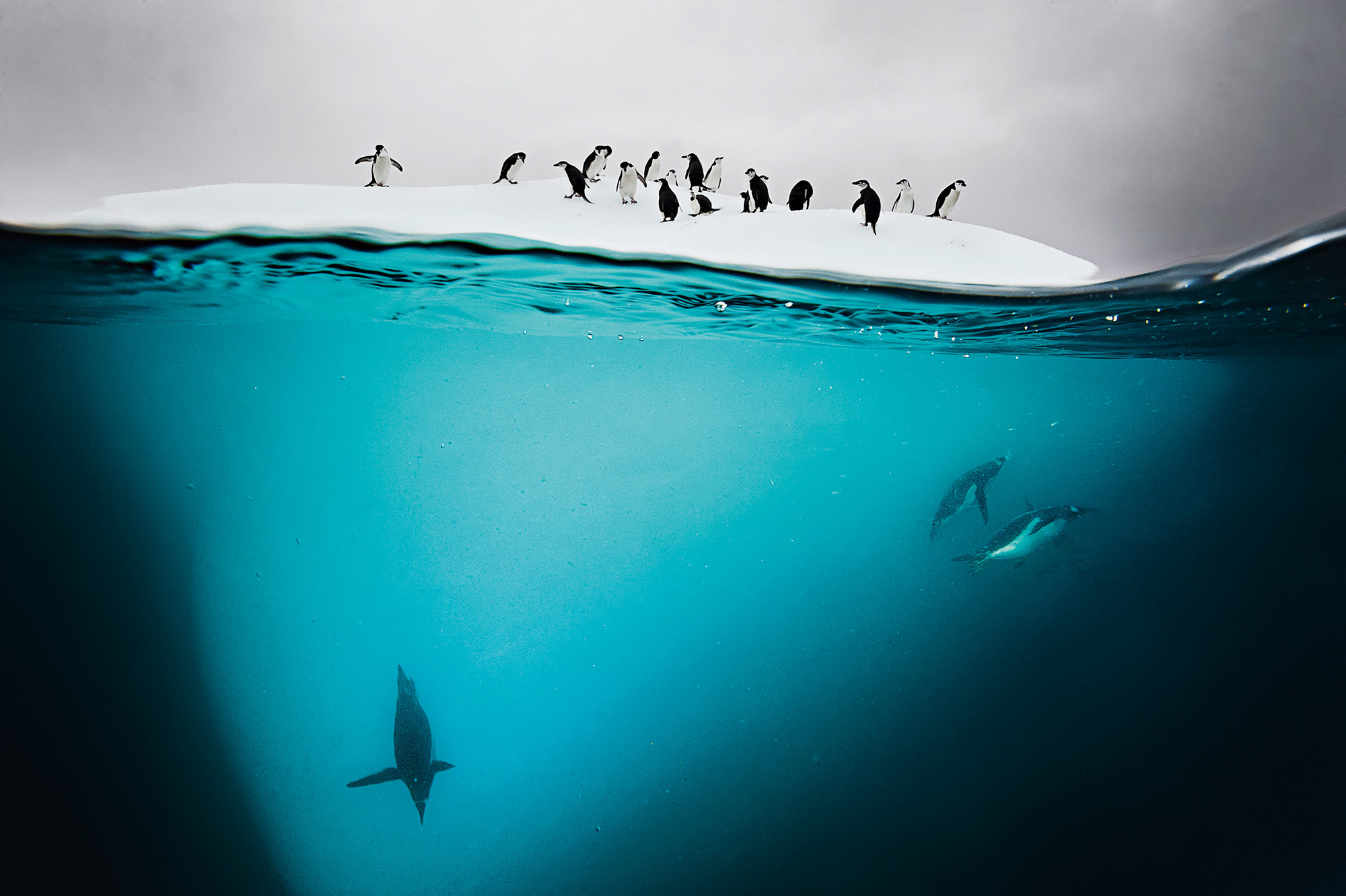 How to Capture Stunning Splits - Underwater Photography Guide