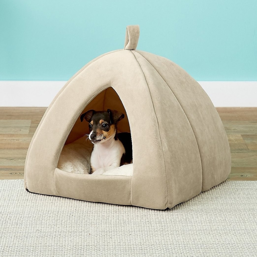 A tent covered cat and dog bed in a beige color