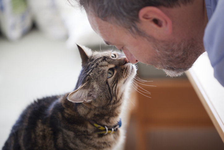 A person nuzzling noses with a cat
