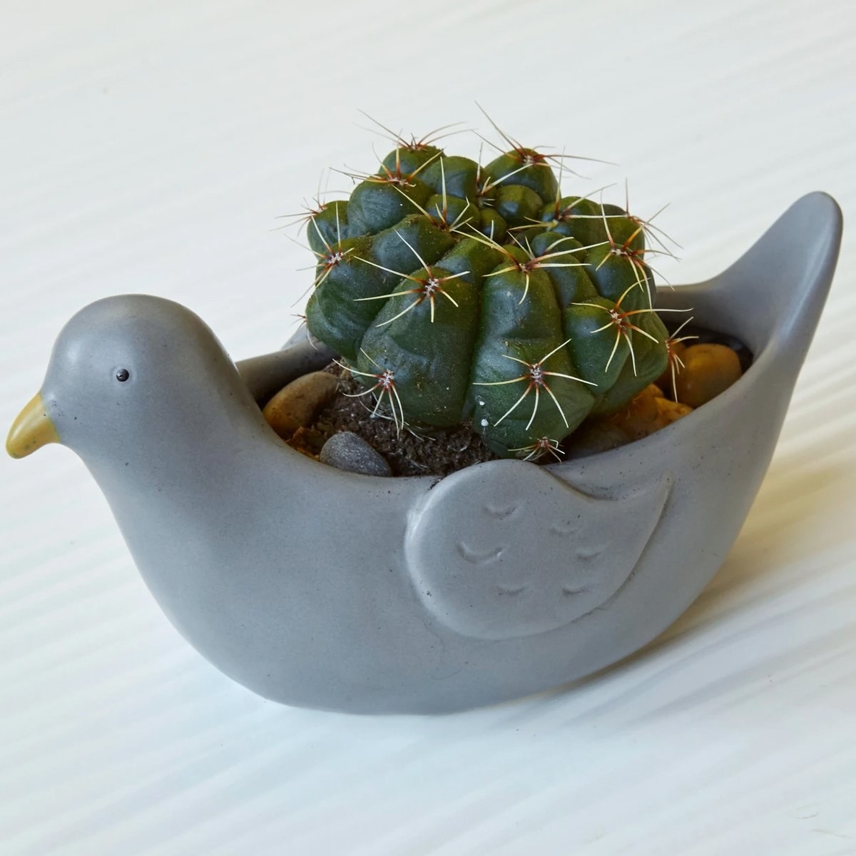 The planter shaped like a sitting pigeon with a mini cactus inside