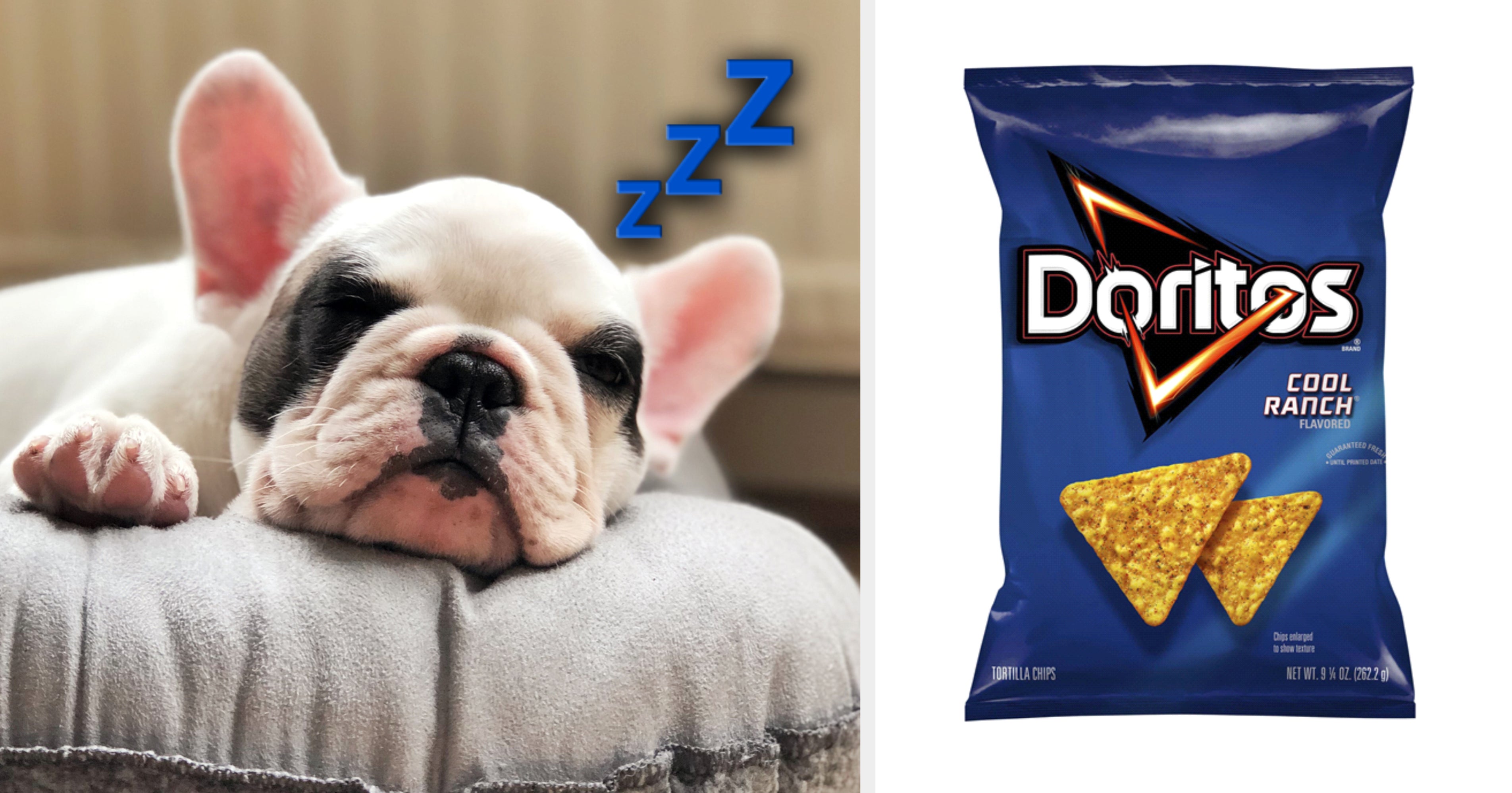 This Puppy Image Quiz Will Reveal Your Favorite Snack