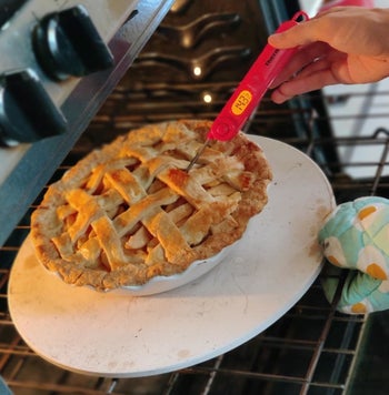 Reviewer using the thermometer to read the temperature of a pie