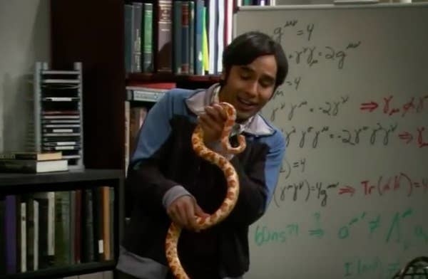 Raj playing with a snake