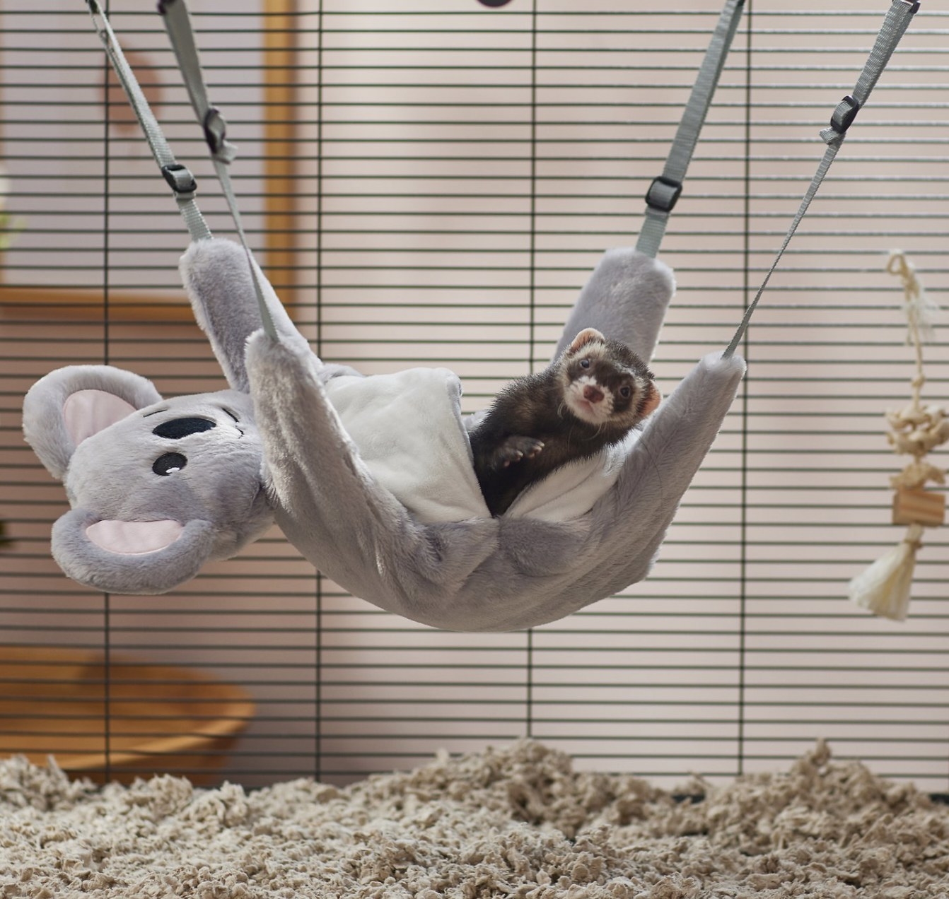 a ferret inside of a hanging koala bed in its cage