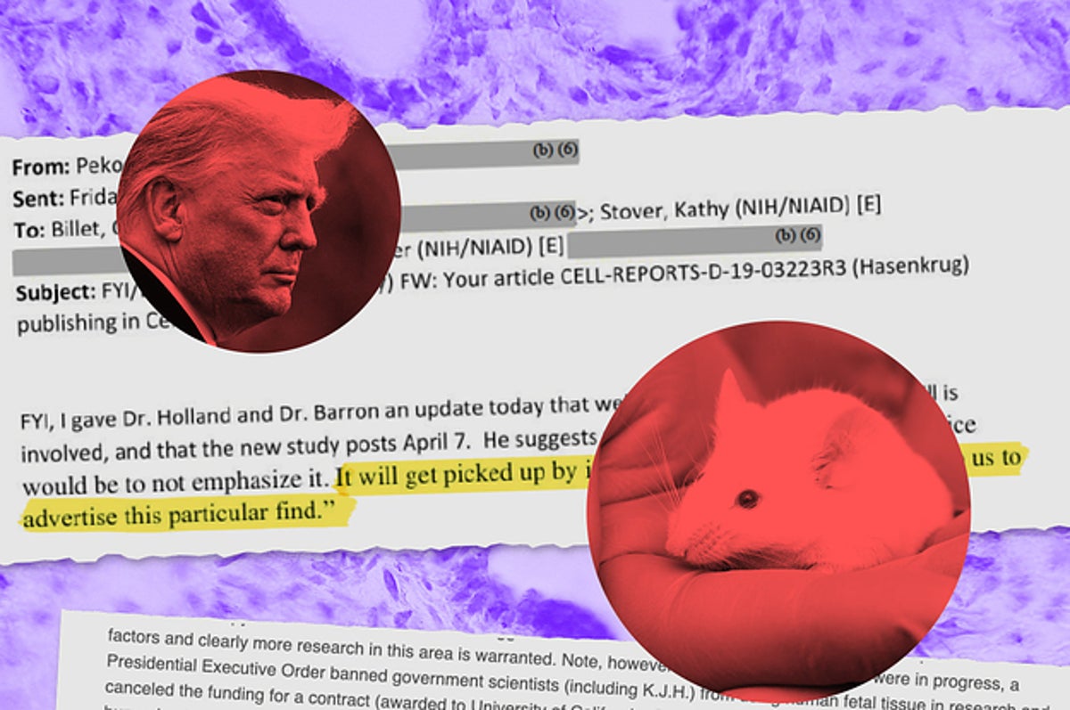 Fetal Cell Science Was Hidden From Public Under Trump Fetal Cell Science Was Hidden From Public Under Trump
