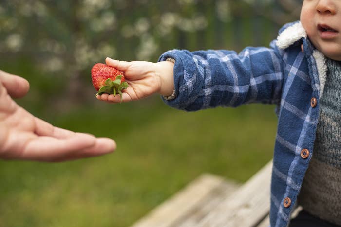 Young boy handing strawberry to an adult hand.