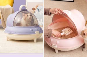 a cat in a purple UFO litter box