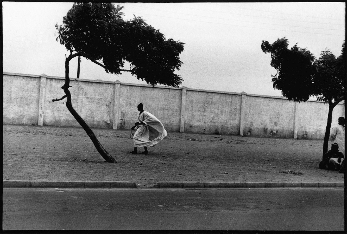 A lone figure in a billowing dress with two trees on the sidewalk and in front of a wall 