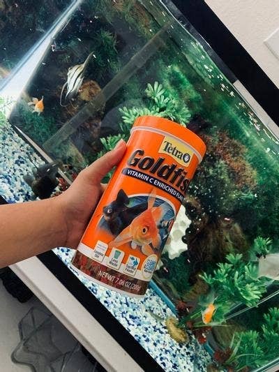 A reviewer photo of the bottle of omega-3 fatty acids and vitamin C-enriched fish flakes