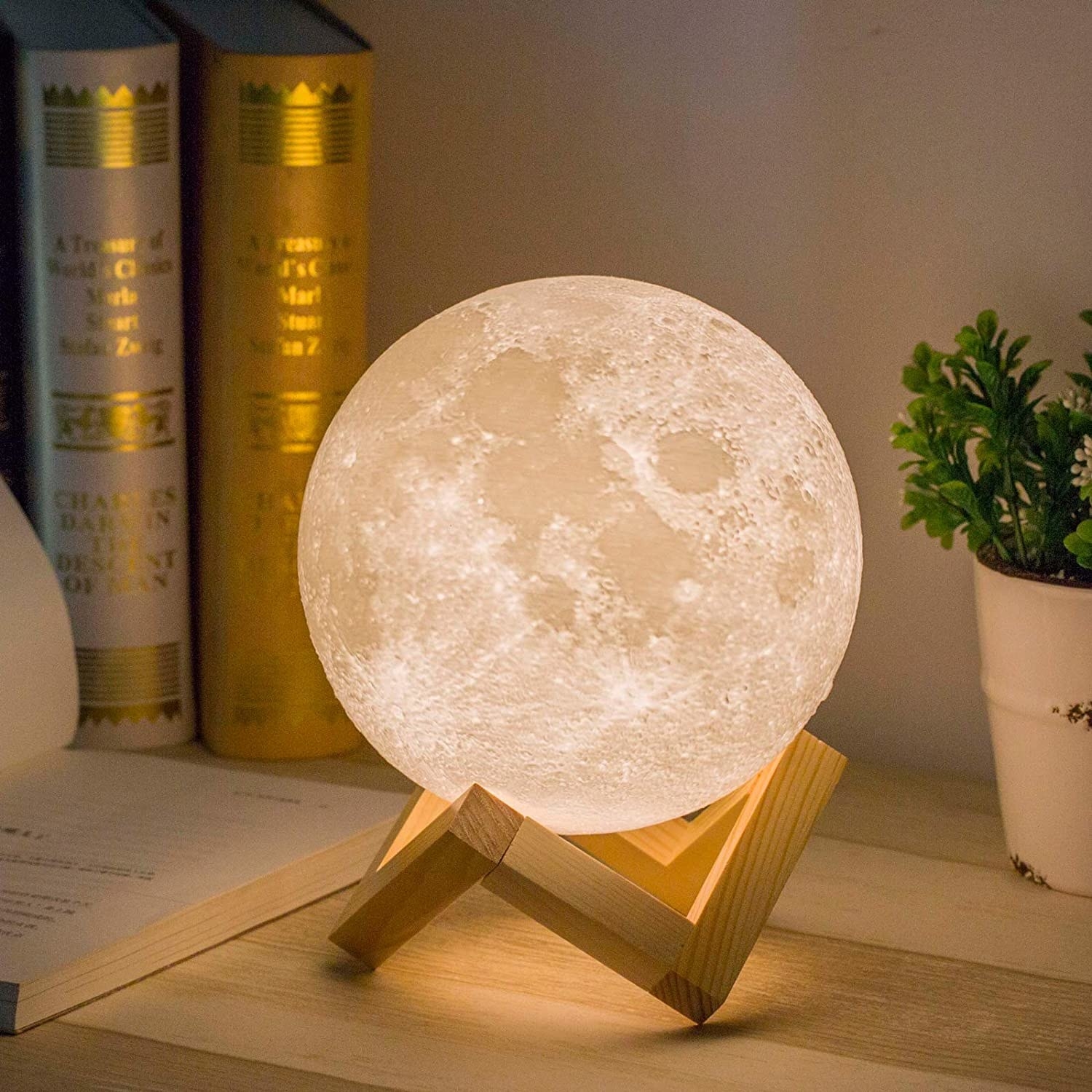 The moon lamp sitting into a wooden stand