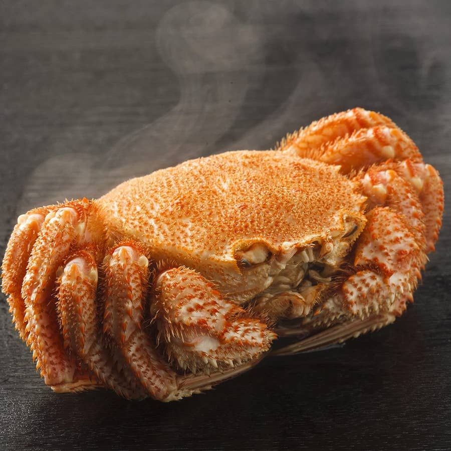 カニを一番おいしく食べる方法は カニ業者のプロ11人に聞いてみた