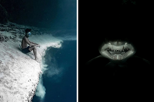 A man sitting on the edge of an underwater cliff and a close-up of giant Sand Tiger Shark teeth undersea