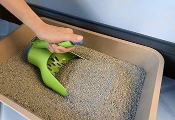 hand using the green scoop to clean a litter box