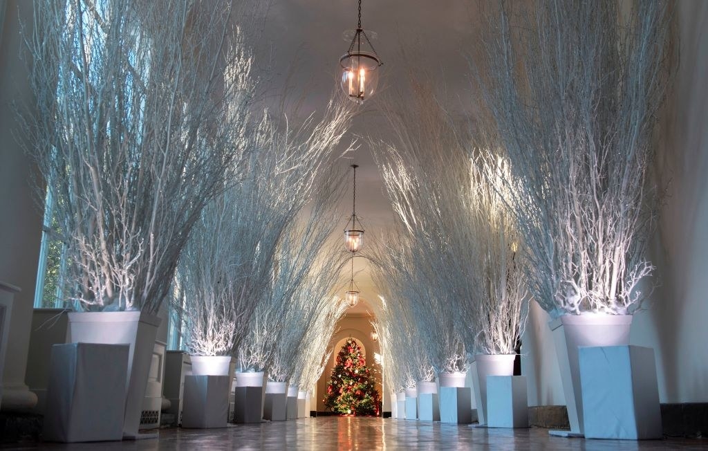 A hallway in the White House lined with potted white Christmas trees and illuminated by low eerie lighting