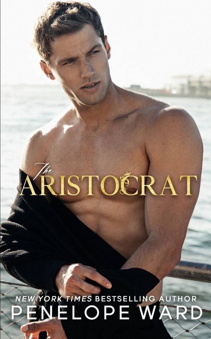 The Aristocrat by Penelope Ward book cover