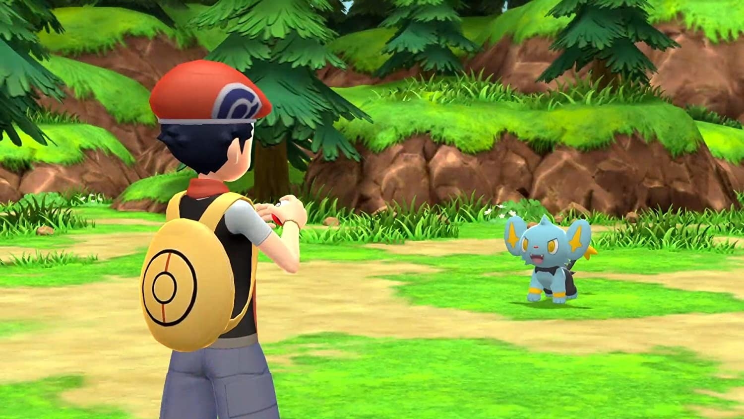 a Pokemon trainer attempts to catch a creature