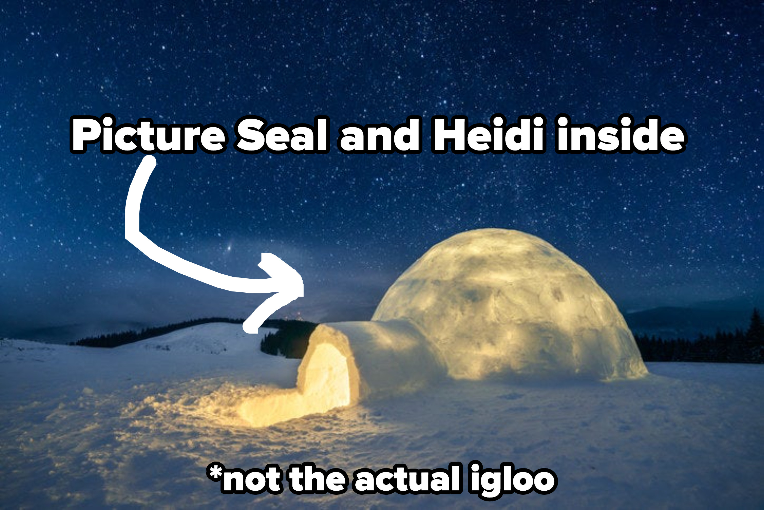 igloo (but not the actual igloo) with an arrow pointing to it and the words &quot;picture seal and heidi inside&quot;