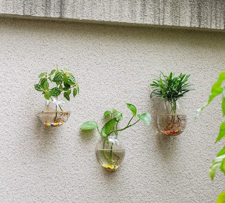 a trio of terrarrium bulbs mounted on a wall