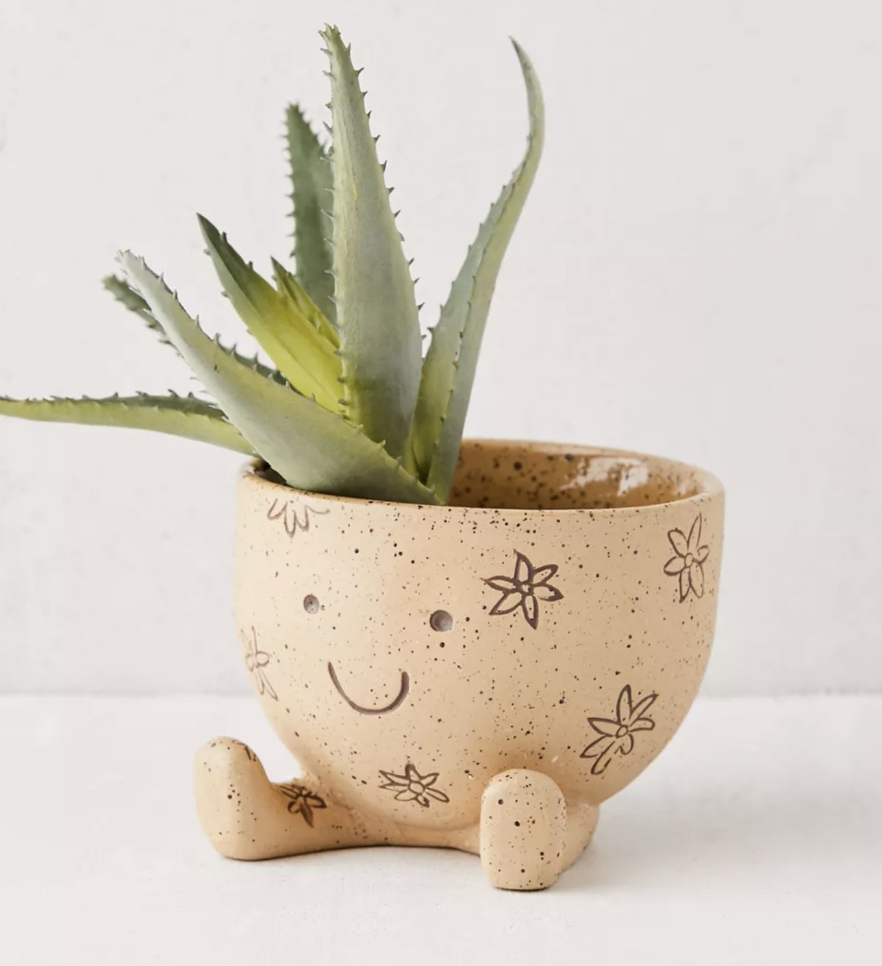 sitting planter with aloe in it