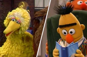 Big Bird and Bert