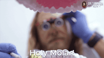 A dentist saying &quot;holy molar&quot; as they look inside of a model of a mouth